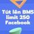 Tút lên BM5 limit 250 dành cho anh em Ads Facebook